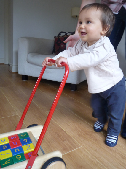 9 September walking with trolley 1.jpg